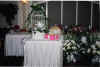 The LIVE Doves of Love (photo courtesy Bob & Lori Ricci)
