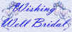 Providers of the Beautiful Bridal Gown, VERY nice people.